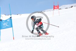 104-E-0271 <br>2025 Wy'East Cup, 1st run GS. Photos for review only. Reproduction prohibited. Click to enlarge. For photo ordering information, go to: http://brianrobbphoto.com