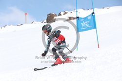 104-E-0273 <br>2025 Wy'East Cup, 1st run GS. Photos for review only. Reproduction prohibited. Click to enlarge. For photo ordering information, go to: http://brianrobbphoto.com