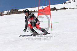 104-F-0398 <br>2024 Wy'East Cup. 2nd run GS. Photo for review only, not to be reproduced. Go to: http://brianrobbphoto.com for photo ordering information.