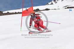 104-F-0451 <br>2024 Wy'East Cup. 2nd run GS. Photo for review only, not to be reproduced. Go to: http://brianrobbphoto.com for photo ordering information.
