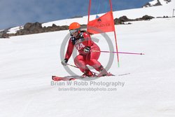 104-F-0452 <br>2024 Wy'East Cup. 2nd run GS. Photo for review only, not to be reproduced. Go to: http://brianrobbphoto.com for photo ordering information.