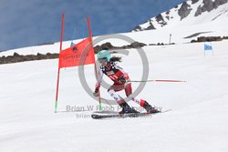 104-F-0459 <br>2024 Wy'East Cup. 2nd run GS. Photo for review only, not to be reproduced. Go to: http://brianrobbphoto.com for photo ordering information.