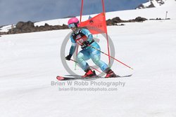 104-F-0472 <br>2024 Wy'East Cup. 2nd run GS. Photo for review only, not to be reproduced. Go to: http://brianrobbphoto.com for photo ordering information.