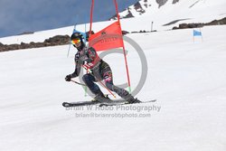 104-F-0480 <br>2024 Wy'East Cup. 2nd run GS. Photo for review only, not to be reproduced. Go to: http://brianrobbphoto.com for photo ordering information.