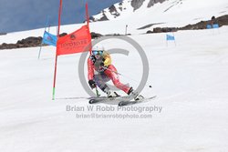 104-F-0483 <br>2024 Wy'East Cup. 2nd run GS. Photo for review only, not to be reproduced. Go to: http://brianrobbphoto.com for photo ordering information.