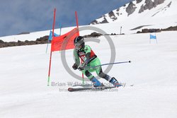 104-F-0517 <br>2024 Wy'East Cup. 2nd run GS. Photo for review only, not to be reproduced. Go to: http://brianrobbphoto.com for photo ordering information.