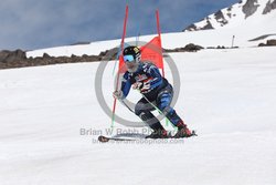 104-F-0530 <br>2024 Wy'East Cup. 2nd run GS. Photo for review only, not to be reproduced. Go to: http://brianrobbphoto.com for photo ordering information.