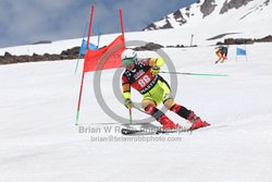 104-F-0545 <br>2024 Wy'East Cup. 2nd run GS. Photo for review only, not to be reproduced. Go to: http://brianrobbphoto.com for photo ordering information.