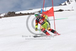 104-F-0546 <br>2024 Wy'East Cup. 2nd run GS. Photo for review only, not to be reproduced. Go to: http://brianrobbphoto.com for photo ordering information.