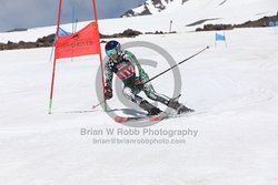 104-F-0568 <br>2024 Wy'East Cup. 2nd run GS. Photo for review only, not to be reproduced. Go to: http://brianrobbphoto.com for photo ordering information.