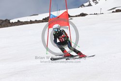 104-F-0598 <br>2024 Wy'East Cup. 2nd run GS. Photo for review only, not to be reproduced. Go to: http://brianrobbphoto.com for photo ordering information.