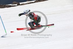 104-F-0600 <br>2024 Wy'East Cup. 2nd run GS. Photo for review only, not to be reproduced. Go to: http://brianrobbphoto.com for photo ordering information.