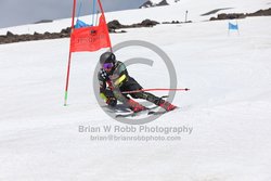 104-F-0606 <br>2024 Wy'East Cup. 2nd run GS. Photo for review only, not to be reproduced. Go to: http://brianrobbphoto.com for photo ordering information.