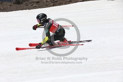 104-F-0608 <br>2024 Wy'East Cup. 2nd run GS. Photo for review only, not to be reproduced. Go to: http://brianrobbphoto.com for photo ordering information.