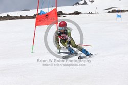 104-F-0610 <br>2024 Wy'East Cup. 2nd run GS. Photo for review only, not to be reproduced. Go to: http://brianrobbphoto.com for photo ordering information.