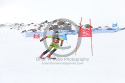 104-E-0275 <br>2025 Wy'East Cup, 2nd run GS. Photos for review only, not to be reproduced. Go to: http://brianrobbphoto.com for photo ordering information.<br><br>