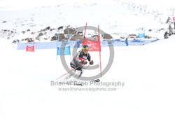 104-E-0307 <br>2025 Wy'East Cup, 2nd run GS. Photos for review only, not to be reproduced. Go to: http://brianrobbphoto.com for photo ordering information.<br><br>