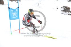 104-E-0310 <br>2025 Wy'East Cup, 2nd run GS. Photos for review only, not to be reproduced. Go to: http://brianrobbphoto.com for photo ordering information.<br><br>