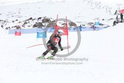 104-E-0316 <br>2025 Wy'East Cup, 2nd run GS. Photos for review only, not to be reproduced. Go to: http://brianrobbphoto.com for photo ordering information.<br><br>