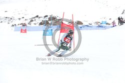 104-E-0336 <br>2025 Wy'East Cup, 2nd run GS. Photos for review only, not to be reproduced. Go to: http://brianrobbphoto.com for photo ordering information.<br><br>