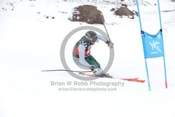 104-E-0338 <br>2025 Wy'East Cup, 2nd run GS. Photos for review only, not to be reproduced. Go to: http://brianrobbphoto.com for photo ordering information.<br><br>