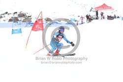 104-E-0356 <br>2025 Wy'East Cup, 2nd run GS. Photos for review only, not to be reproduced. Go to: http://brianrobbphoto.com for photo ordering information.<br><br>