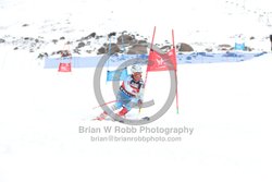 104-E-0370 <br>2025 Wy'East Cup, 2nd run GS. Photos for review only, not to be reproduced. Go to: http://brianrobbphoto.com for photo ordering information.<br><br>