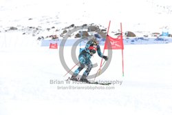 104-E-0375 <br>2025 Wy'East Cup, 2nd run GS. Photos for review only, not to be reproduced. Go to: http://brianrobbphoto.com for photo ordering information.<br><br>