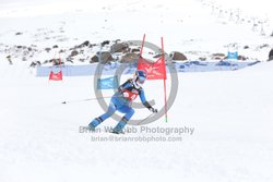 104-E-0392 <br>2025 Wy'East Cup, 2nd run GS. Photos for review only, not to be reproduced. Go to: http://brianrobbphoto.com for photo ordering information.<br><br>