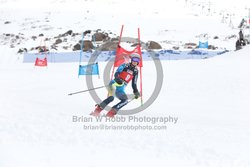 104-E-0396 <br>2025 Wy'East Cup, 2nd run GS. Photos for review only, not to be reproduced. Go to: http://brianrobbphoto.com for photo ordering information.<br><br>