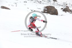 104-E-0402 <br>2025 Wy'East Cup, 2nd run GS. Photos for review only, not to be reproduced. Go to: http://brianrobbphoto.com for photo ordering information.<br><br>