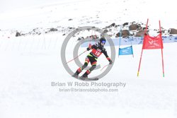 104-E-0426 <br>2025 Wy'East Cup, 2nd run GS. Photos for review only, not to be reproduced. Go to: http://brianrobbphoto.com for photo ordering information.<br><br>