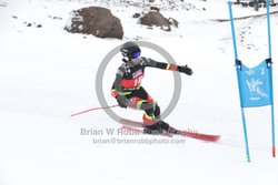 104-E-0428 <br>2025 Wy'East Cup, 2nd run GS. Photos for review only, not to be reproduced. Go to: http://brianrobbphoto.com for photo ordering information.<br><br>