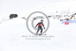 104-E-0431 <br>2025 Wy'East Cup, 2nd run GS. Photos for review only, not to be reproduced. Go to: http://brianrobbphoto.com for photo ordering information.<br><br>