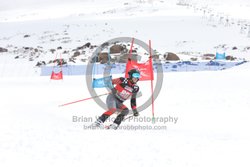 104-E-0489 <br>2025 Wy'East Cup, 2nd run GS. Photos for review only, not to be reproduced. Go to: http://brianrobbphoto.com for photo ordering information.<br><br>