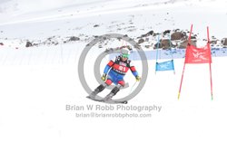 104-E-0498 <br>2025 Wy'East Cup, 2nd run GS. Photos for review only, not to be reproduced. Go to: http://brianrobbphoto.com for photo ordering information.<br><br>