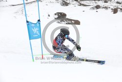 104-E-0505 <br>2025 Wy'East Cup, 2nd run GS. Photos for review only, not to be reproduced. Go to: http://brianrobbphoto.com for photo ordering information.<br><br>