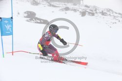 104-E-0535 <br>2025 Wy'East Cup, 2nd run GS. Photos for review only, not to be reproduced. Go to: http://brianrobbphoto.com for photo ordering information.<br><br>