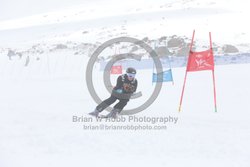 104-E-0536 <br>2025 Wy'East Cup, 2nd run GS. Photos for review only, not to be reproduced. Go to: http://brianrobbphoto.com for photo ordering information.<br><br>