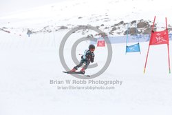 104-E-0540 <br>2025 Wy'East Cup, 2nd run GS. Photos for review only, not to be reproduced. Go to: http://brianrobbphoto.com for photo ordering information.<br><br>