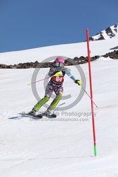 104-F-0739 <br>2024 Wy'East Cup. 1st run SL. Photo for review only, not to be reproduced. Go to: http://brianrobbphoto.com for photo ordering information.