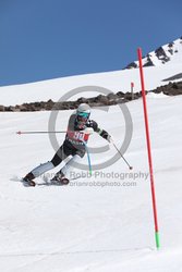 104-F-0835 <br>2024 Wy'East Cup. 1st run SL. Photo for review only, not to be reproduced. Go to: http://brianrobbphoto.com for photo ordering information.