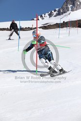 104-F-0849 <br>2024 Wy'East Cup. 1st run SL. Photo for review only, not to be reproduced. Go to: http://brianrobbphoto.com for photo ordering information.
