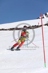 104-F-0851 <br>2024 Wy'East Cup. 1st run SL. Photo for review only, not to be reproduced. Go to: http://brianrobbphoto.com for photo ordering information.