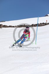 104-F-0883 <br>2024 Wy'East Cup. 1st run SL. Photo for review only, not to be reproduced. Go to: http://brianrobbphoto.com for photo ordering information.