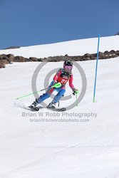 104-F-0884 <br>2024 Wy'East Cup. 1st run SL. Photo for review only, not to be reproduced. Go to: http://brianrobbphoto.com for photo ordering information.