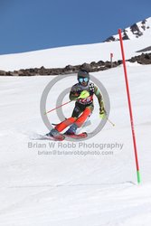 104-F-0896 <br>2024 Wy'East Cup. 1st run SL. Photo for review only, not to be reproduced. Go to: http://brianrobbphoto.com for photo ordering information.