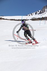 104-F-0901 <br>2024 Wy'East Cup. 1st run SL. Photo for review only, not to be reproduced. Go to: http://brianrobbphoto.com for photo ordering information.